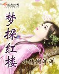 (红楼梦同人)梦探红楼